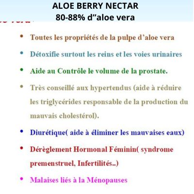 FOREVER ALOE BERRY NECTAR